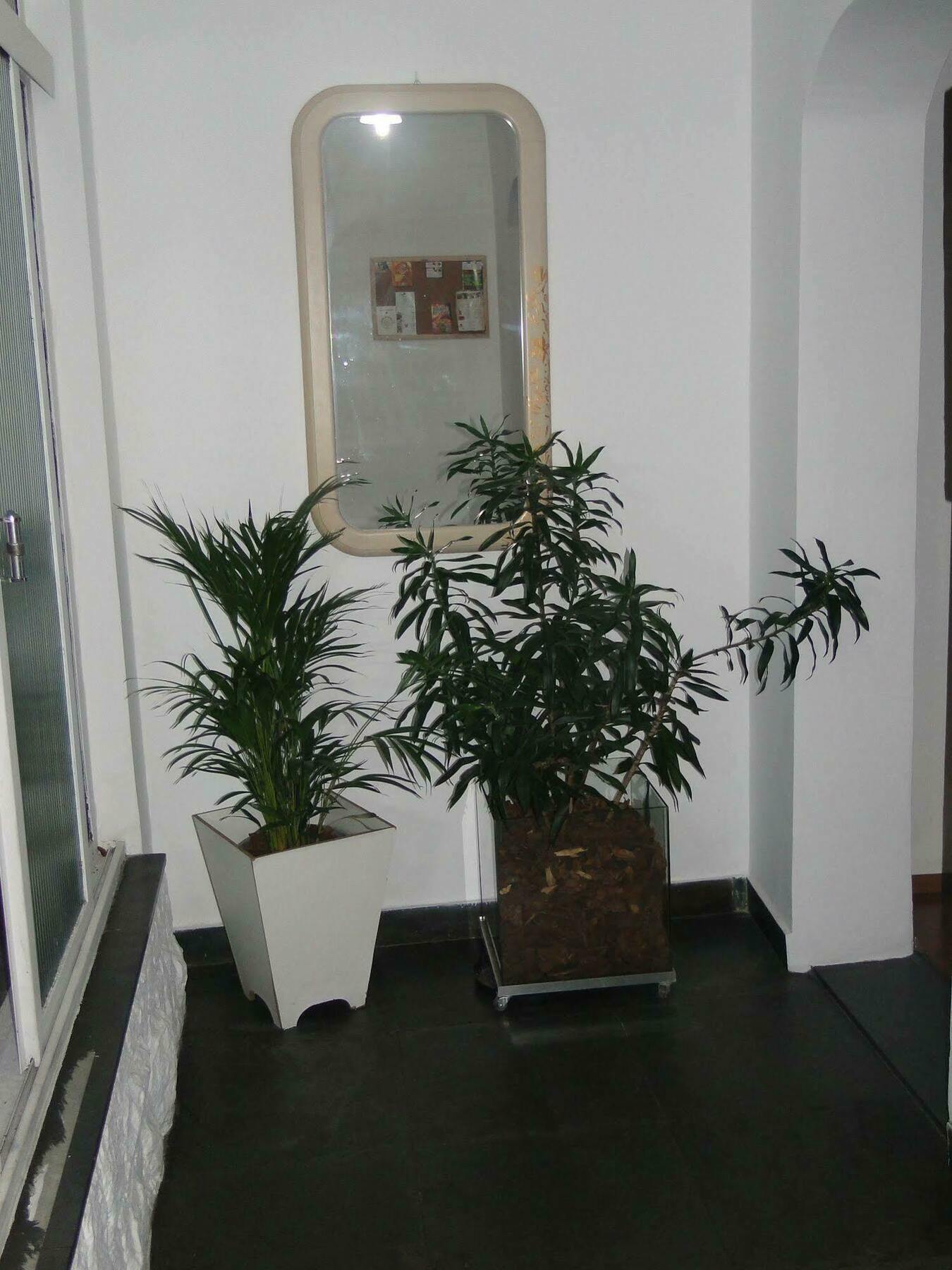 Today Hostel São Paulo Extérieur photo