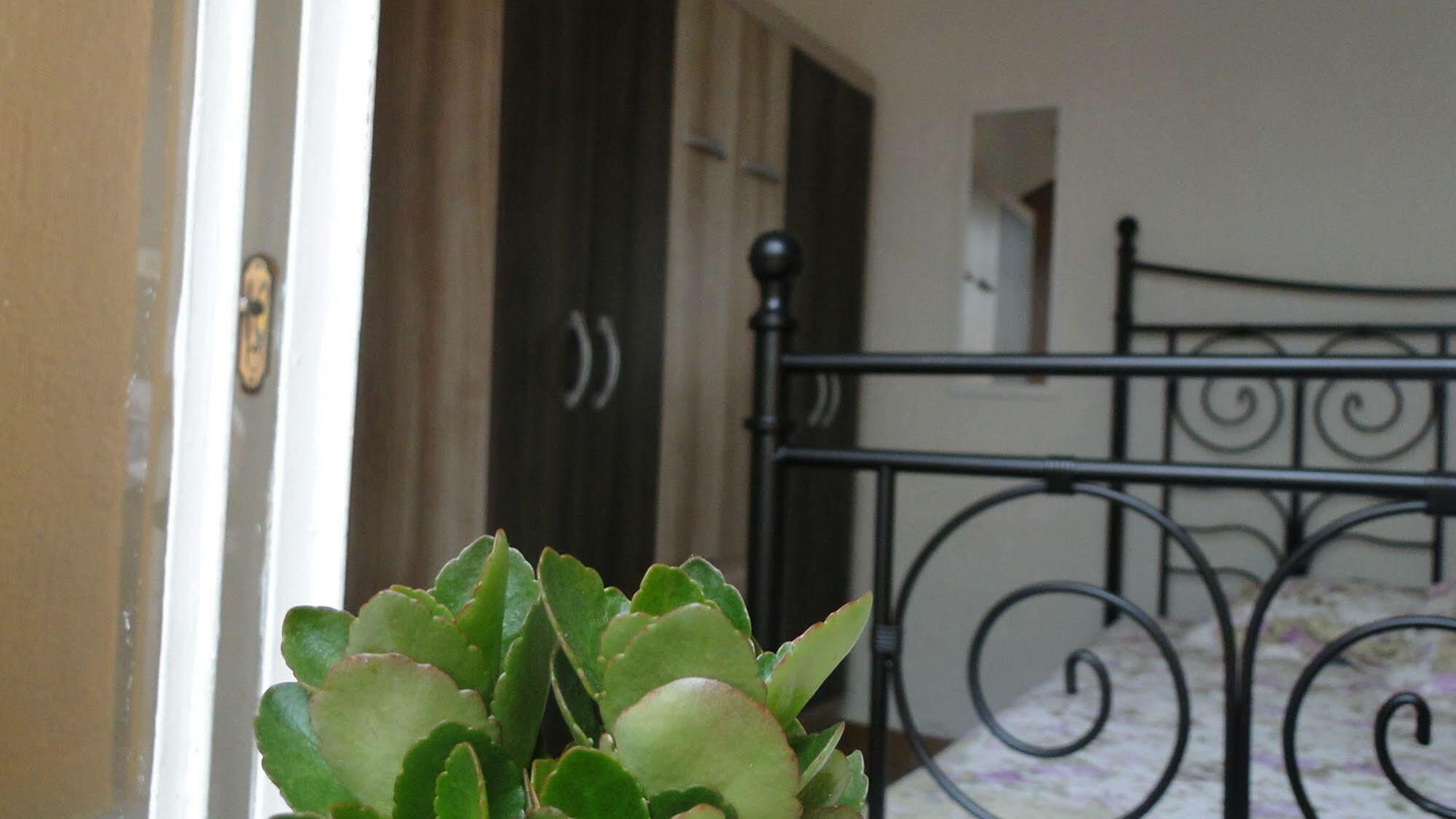 Today Hostel São Paulo Extérieur photo